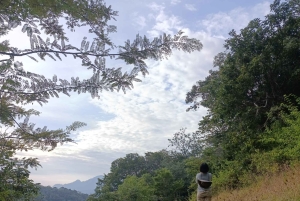 Bali: begeleide wandeltocht door het regenwoud in West-Bali