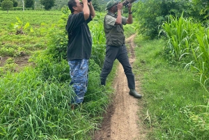 Bali: begeleide wandeltocht door het regenwoud in West-Bali