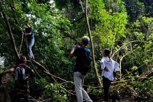 Bali: begeleide wandeltocht door het regenwoud in West-Bali