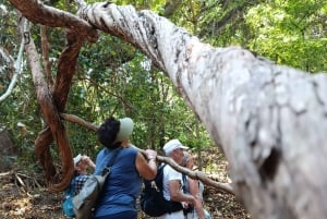 Bali: begeleide wandeltocht door het regenwoud in West-Bali