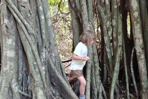 Bali: begeleide wandeltocht door het regenwoud in West-Bali