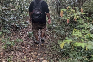 Bali: begeleide wandeltocht door het regenwoud in West-Bali