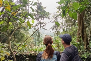 Bali: begeleide wandeltocht door het regenwoud in West-Bali