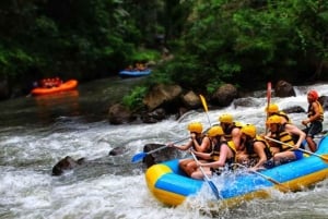 Bali: White Water Rafting Adventure in Ubud - All Inclusive