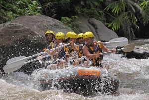 Bali: White Water Rafting and Jungle Buggies Adventure Tour
