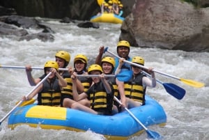 Bali : rafting en eaux vives, déjeuner et prise en charge privée