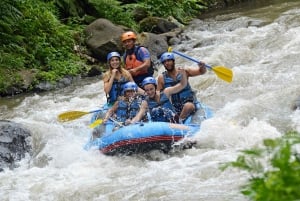 Bali : rafting en eaux vives, déjeuner et prise en charge privée