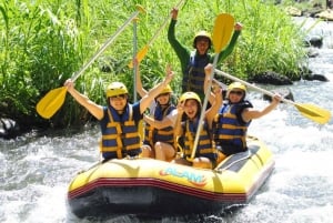 Bali : rafting en eaux vives, déjeuner et prise en charge privée