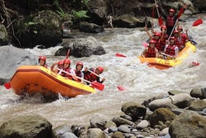 Bali : rafting en eaux vives, déjeuner et prise en charge privée
