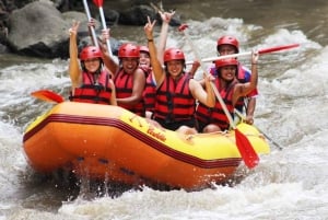 Bali : rafting en eaux vives, déjeuner et prise en charge privée