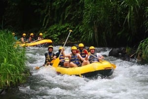 Bali : rafting en eaux vives, déjeuner et prise en charge privée
