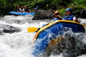 Bali : rafting en eaux vives, déjeuner et prise en charge privée