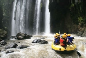 Bali: wildwaterraften met een prachtig uitzicht op de Ayung-rivier