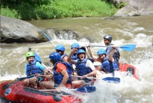 Bali: wildwaterraften met een prachtig uitzicht op de Ayung-rivier