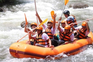 Bali: wildwaterraften met een prachtig uitzicht op de Ayung-rivier