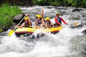 Bali: wildwaterraften met een prachtig uitzicht op de Ayung-rivier