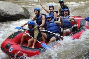 Bali: wildwaterraften met een prachtig uitzicht op de Ayung-rivier