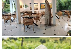 Bali: Wine & Cheese Tasting / Jungle Bar / Skylodge