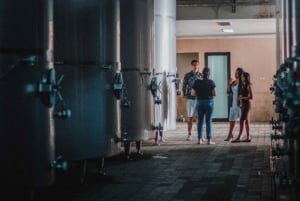Bali: Tour della fabbrica di degustazione del vino con visita turistica opzionale