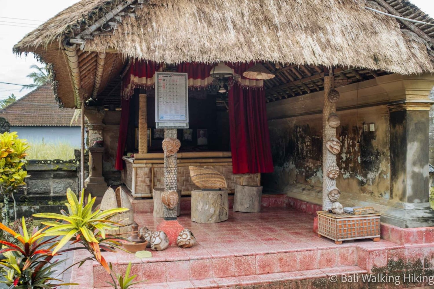 Bali: Wonderland Exotic Nature Tour