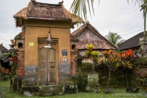 Bali: Wonderland Exotic Nature Tour