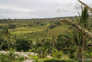 Bali: Wonderland Exotic Nature Tour