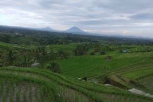 Bali: Dein privater Fahrer für eine maßgeschneiderte Tour