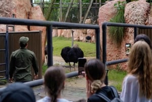 Bali Zoo: Behind Closed Doors Afternoon Safari Guided Tour