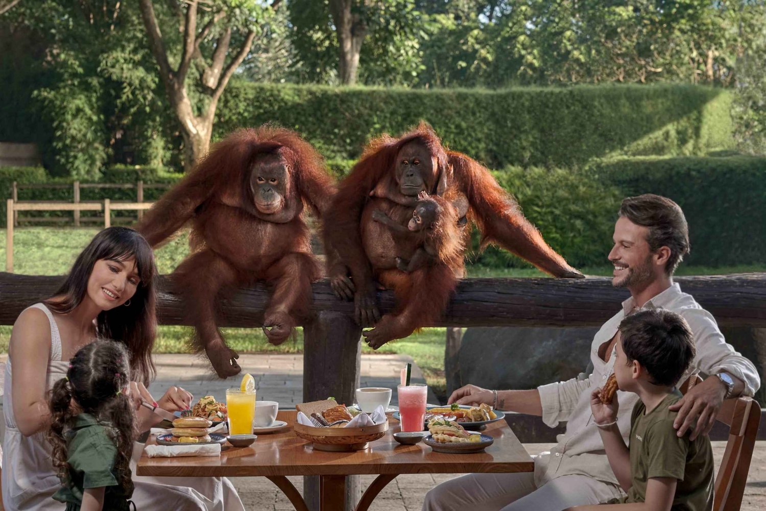 Zoo de Bali : petit-déjeuner avec les orangs-outangs