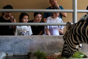 Bali Zoo: Safari Iltapäiväsafari Opastettu kierros