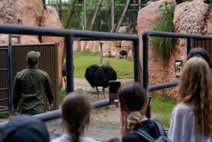 Bali Zoo: Safari Iltapäiväsafari Opastettu kierros