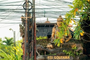 Balinese Cooking Class & Local Art of Ubud