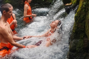 Balinese Holy Water Ritual with Nature Serenity