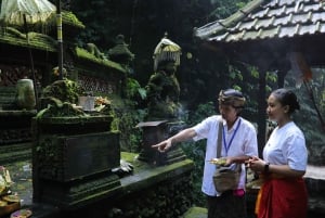 Balinese reiniging in een heilig watertempel met een local