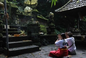 Balinese reiniging in een heilig watertempel met een local