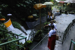 Balinese Purification at holy water temple with Local