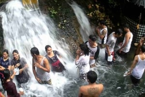 Rituale di purificazione balinese e visita al guaritore locale