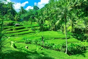 Balilainen puhdistusrituaali ja vierailu paikalliseen parantajaan