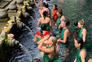 Les anciens temples de Bali : visite archéologique privée d'une journée