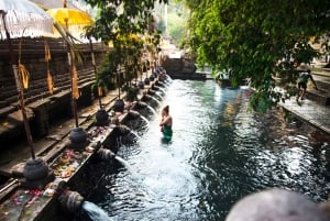 Les anciens temples de Bali : visite archéologique privée d'une journée