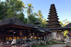 Les anciens temples de Bali : visite archéologique privée d'une journée