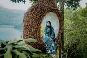 North Bali: Private Day Tour with Customizable Itinerary