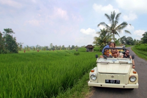 Bali's Rice Fields & Volcanoes in a Vintage VW Cabriolet