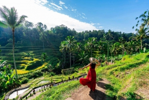 Les merveilles des chutes d'eau de Bali : Explorer les chefs-d'œuvre de la nature