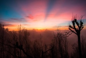 Bandung: 5 päivää Borobudur Prambanan Bromo Ijen Baliin