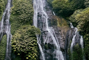 Banyumala Waterfall, Jatiluwih and Tanah Lot Temple Tour