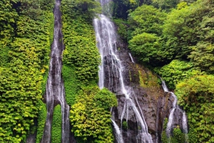 Banyumala Waterfall, Jatiluwih and Tanah Lot Temple Tour
