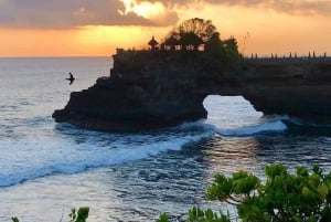 Banyumala Waterfall, Jatiluwih and Tanah Lot Temple Tour