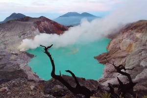 Banyuwangi/Bali : Visite guidée du Mont Ijen Midnight Blue Fire