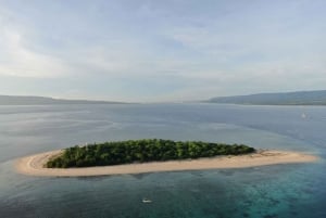 Banyuwangi: snorkeling alle isole Cervo e Tabuhan (12 ore)